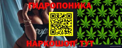 тгк Гусь-Хрустальный