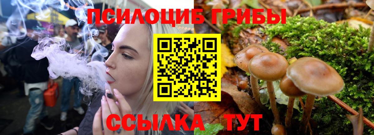 Заринск  Псилоцибиновые грибы Psilocybe  Галлюциногенные грибы Magic Shrooms  Вход с VPN 