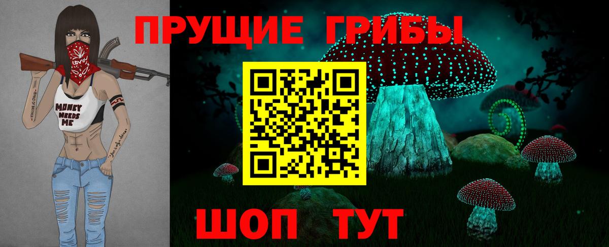 Галлюциногенные грибы Psilocybe Заринск