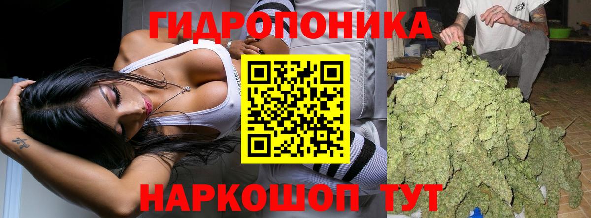 Каннабис MAZAR Заринск